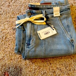 Judy Blue jogger, The Kelsey